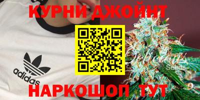 соль ск Новозыбков